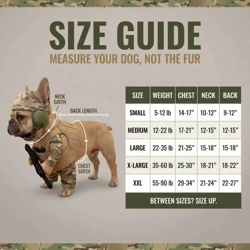 Funny Soldier Pet Costume – Doggy Soldier Outfit for Dogs & Cats, Military-Style Costume Set for Halloween, Parties & Photos