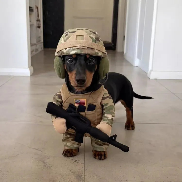 Funny Soldier Pet Costume – Doggy Soldier Outfit for Dogs & Cats, Military-Style Costume Set for Halloween, Parties & Photos